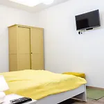 3 En Bedroom Flat In The Main Centre For 6ppl, 3bdr,3bthr,ac Apartament Budapeszt